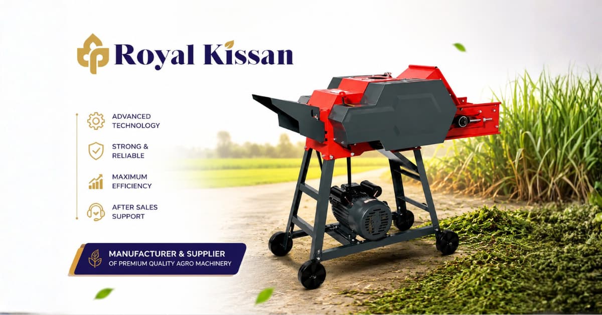 2 HP vs 3 HP Chaff Cutter Machine Supplier