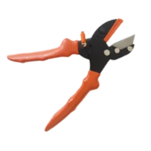 P01
