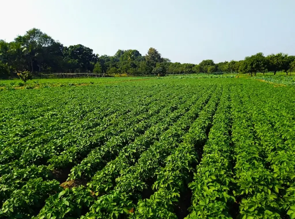 Agricultural Machinery for Farmers